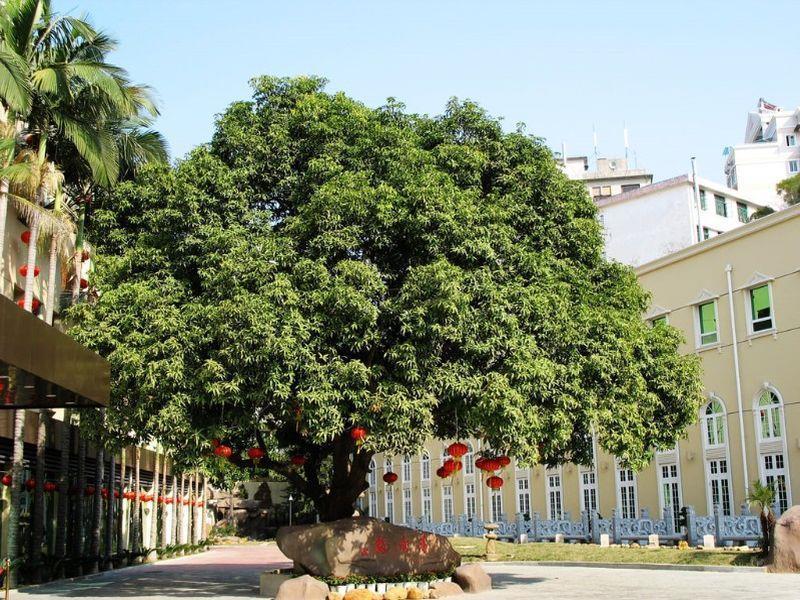 Hilford Hotel Xiamen Eksteriør billede